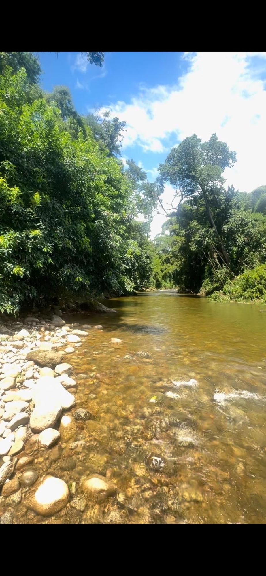 Otima Nota - Rancho Caminho Do Ouro ,Proximo Praias , Ilhas ,Cachoeiras E Centro Historico Paraty Exterior foto